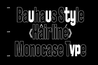 <p>An overview of the OpenType functions: The “Bauhaus Style (ss01)” includes modernist letterforms. The “Hairline Style (ss02)” offers linear accents and punctuation. The “Monocase (ss03)” set cut descenders to enable the setting in tight line height.</p>